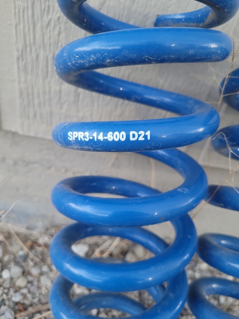20250219_173714.jpg