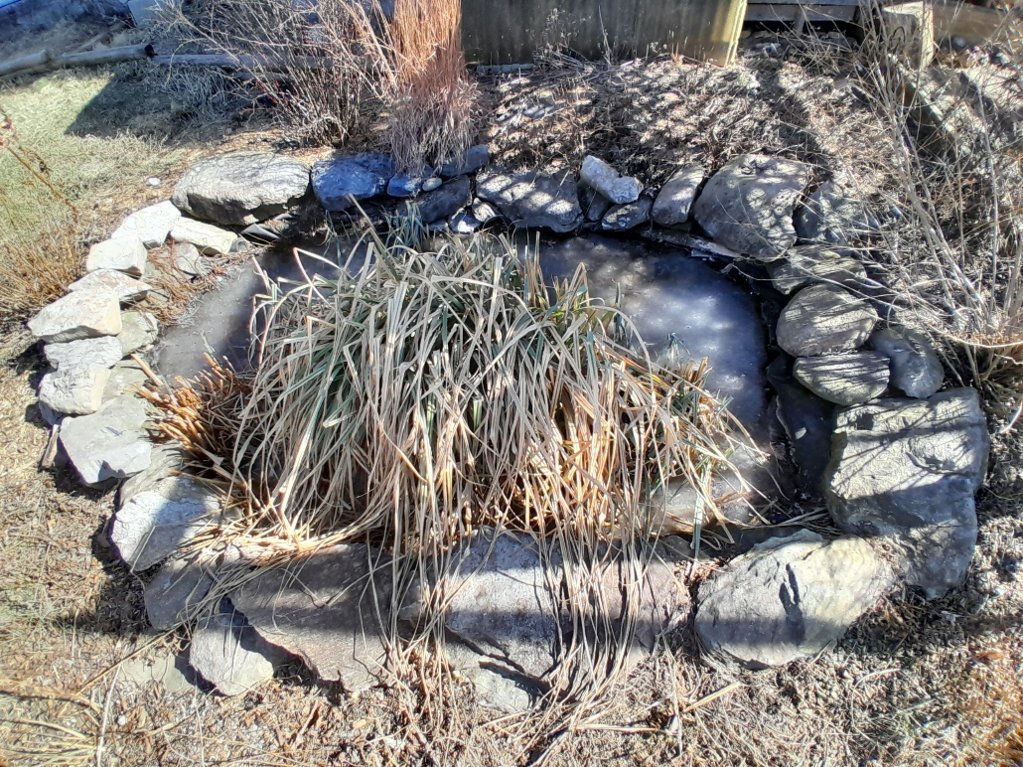 20250221_133807.jpg