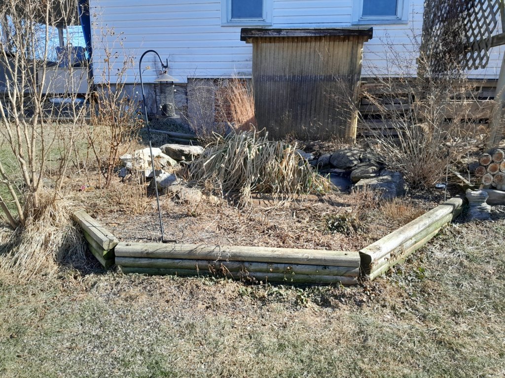 20250221_134133.jpg