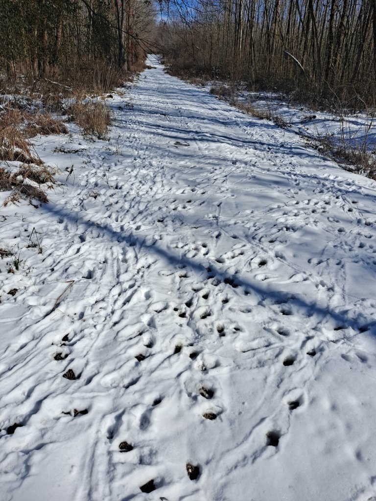 20250222_141532.jpg