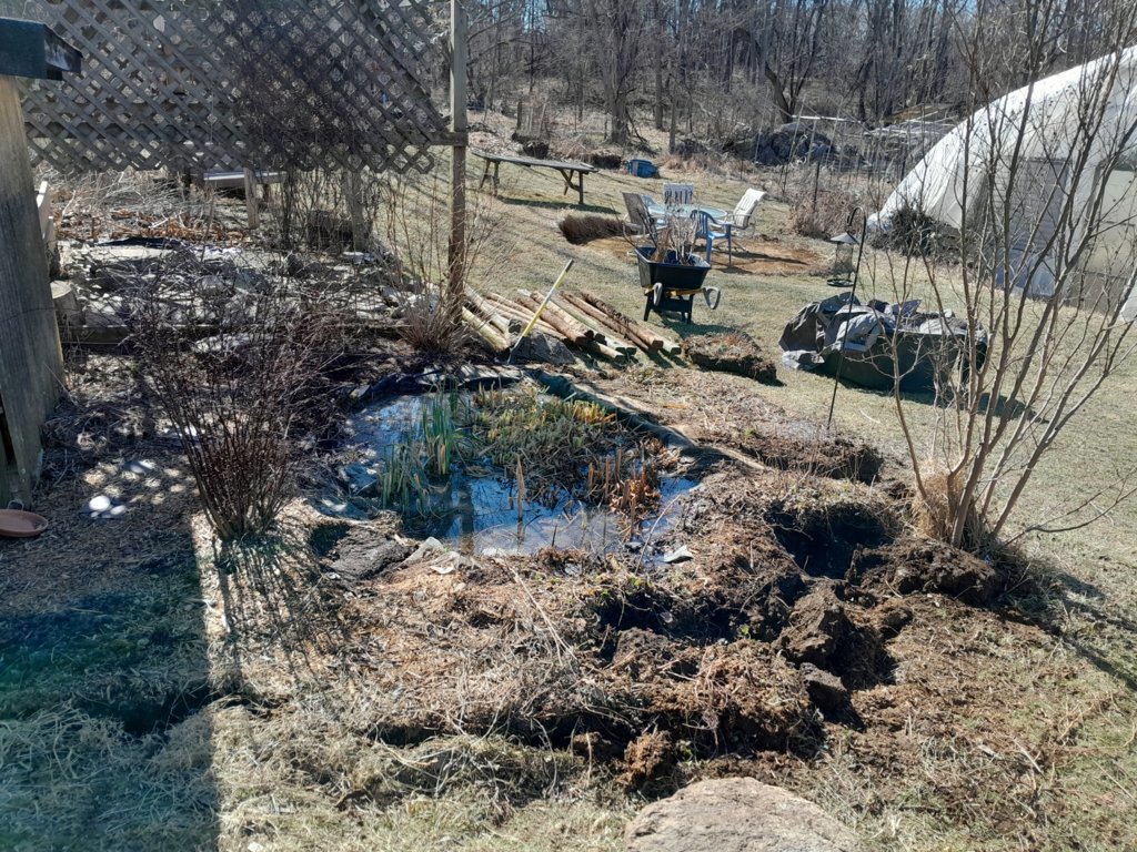 20250225_133805.jpg