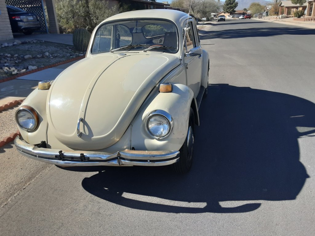 20250226_100419.jpg