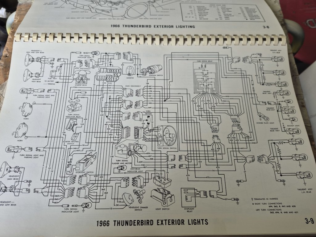 20250226_155139.jpg