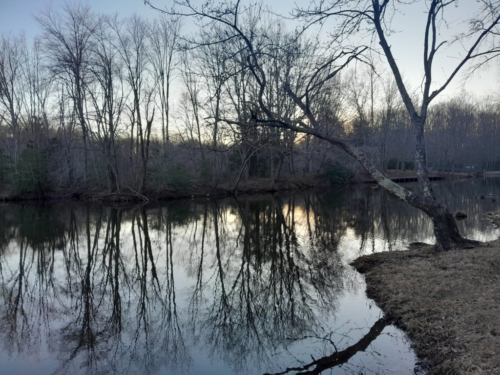 20250228_173943.jpg