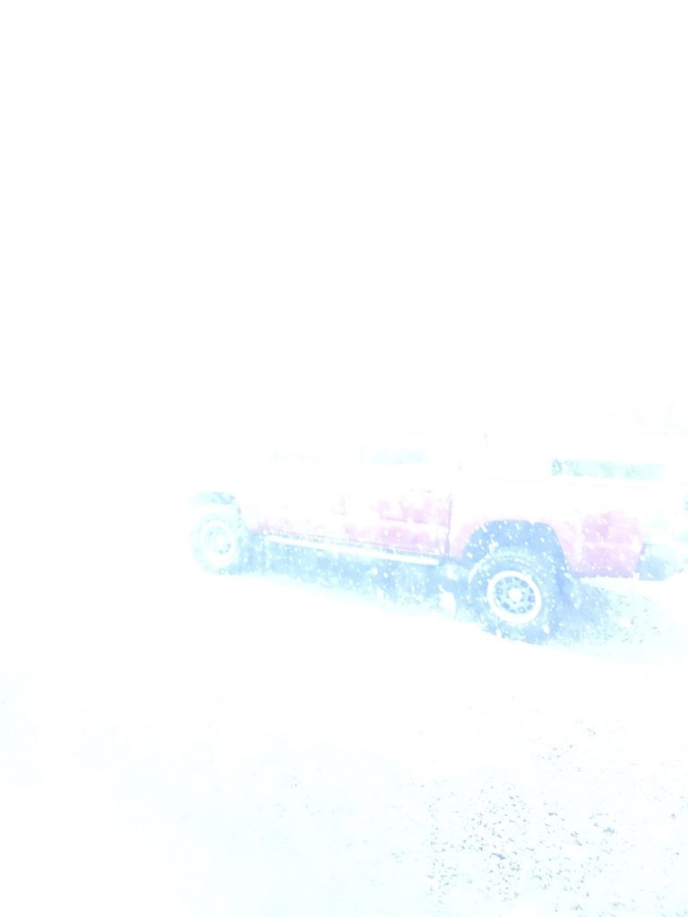 20250301_100427.jpg