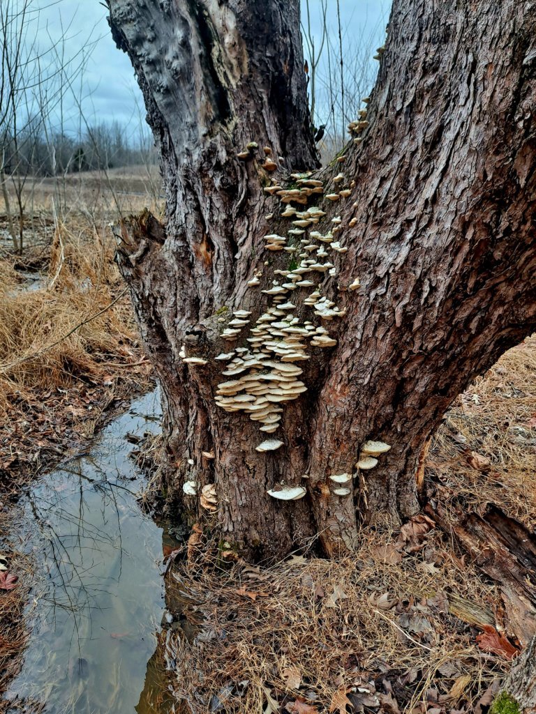 20250305_095448.jpg