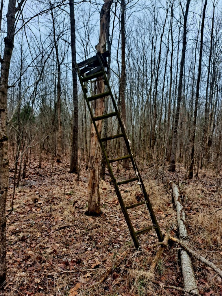 20250305_100114.jpg