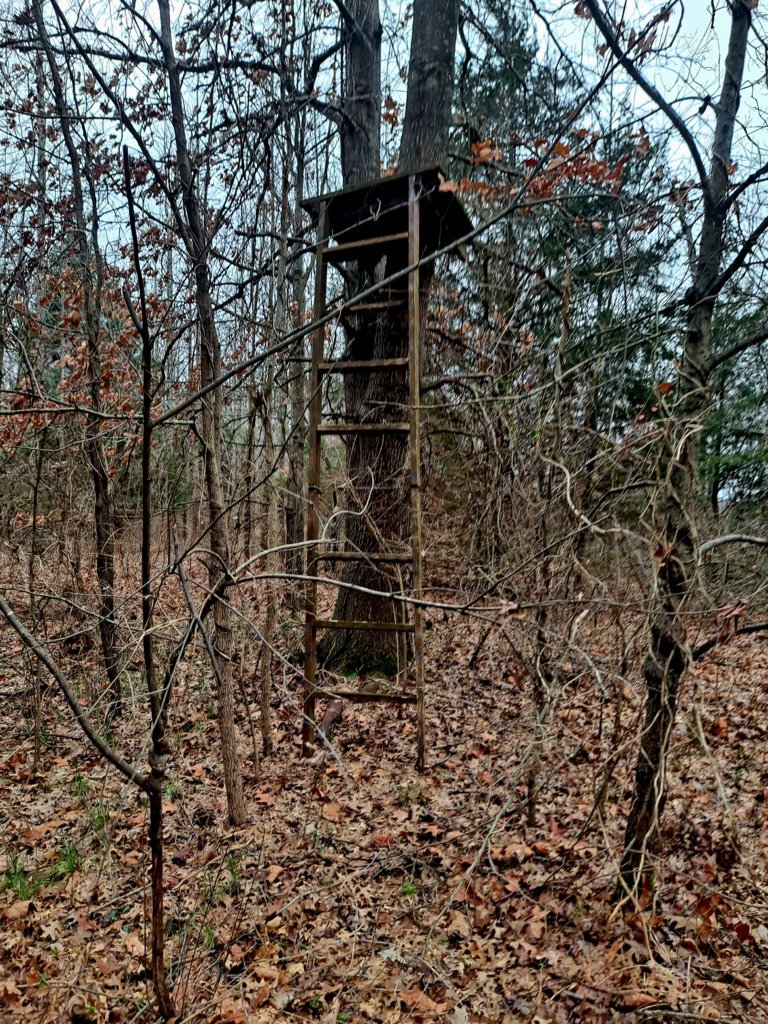 20250305_103050.jpg