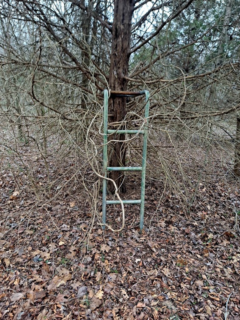 20250305_103558.jpg