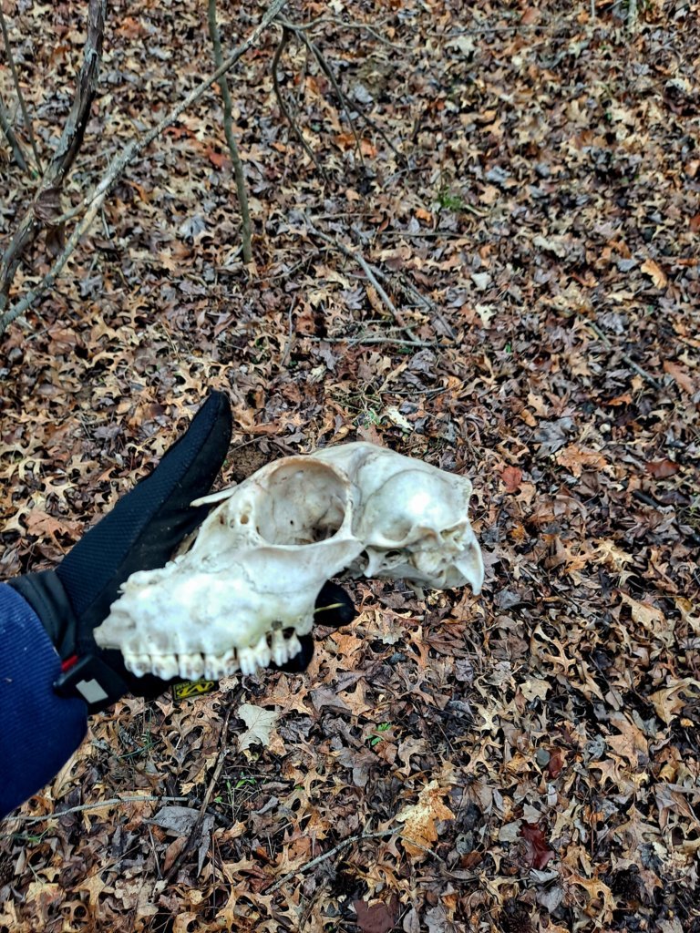 20250305_120443.jpg