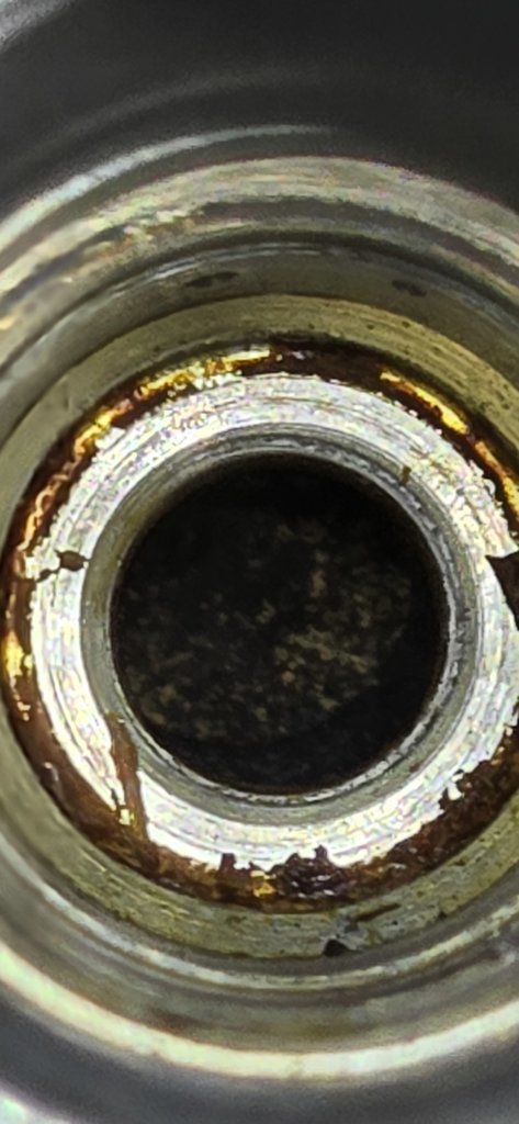 20250305_132025.jpg