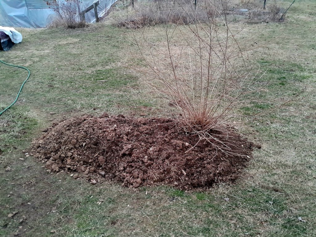 20250306_180750.jpg