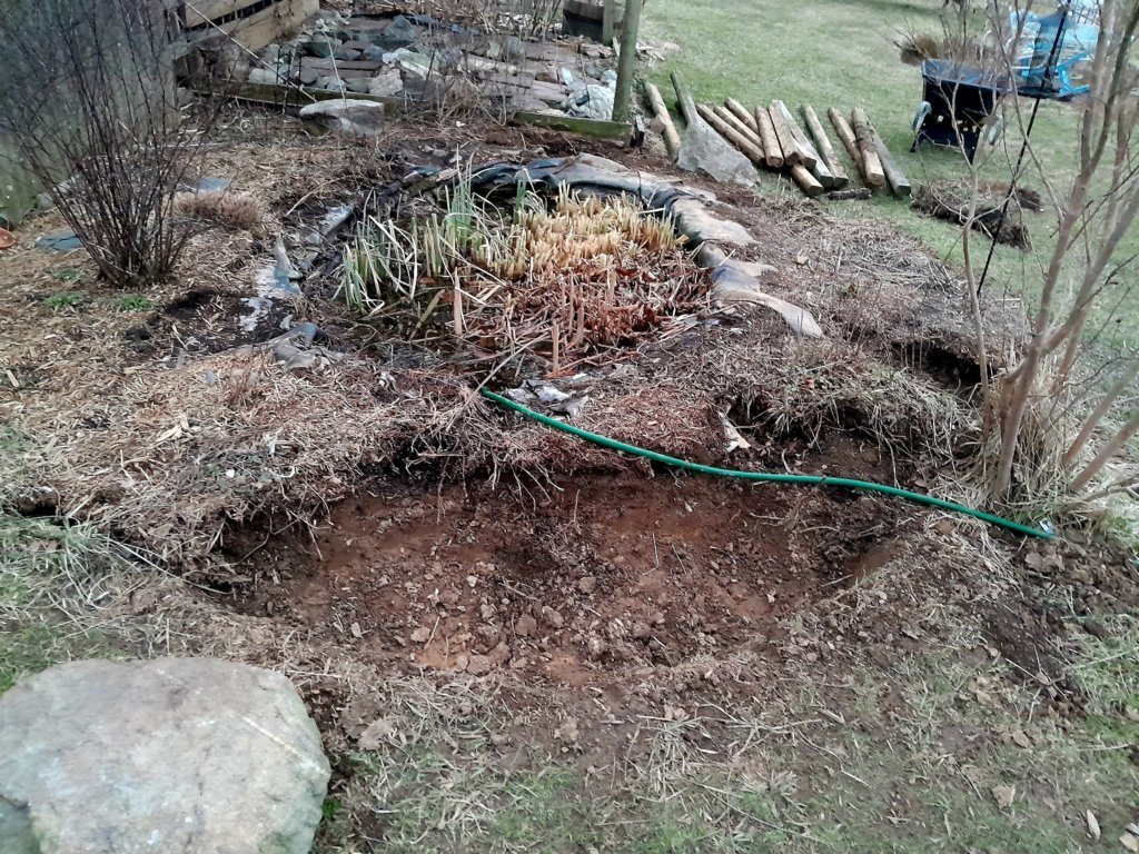 20250306_180756.jpg