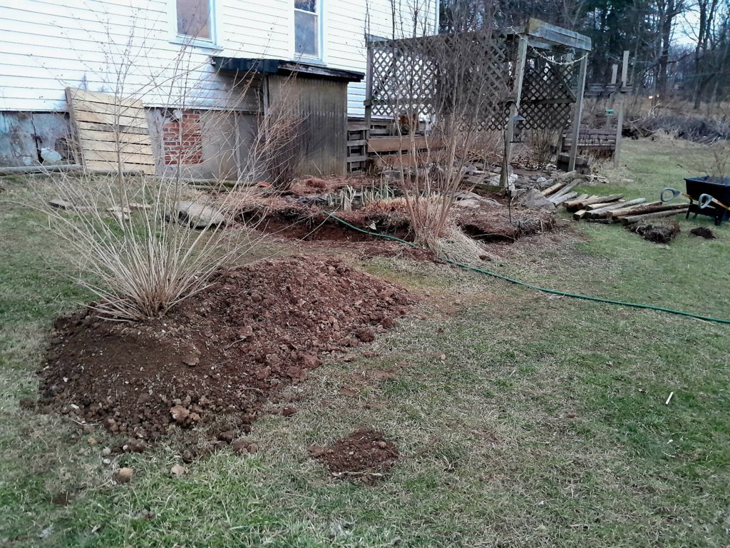 20250306_180812.jpg