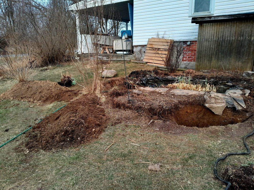 20250307_173014.jpg