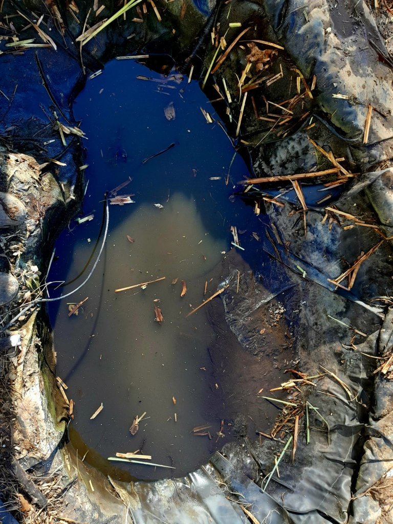 20250309_164439.jpg