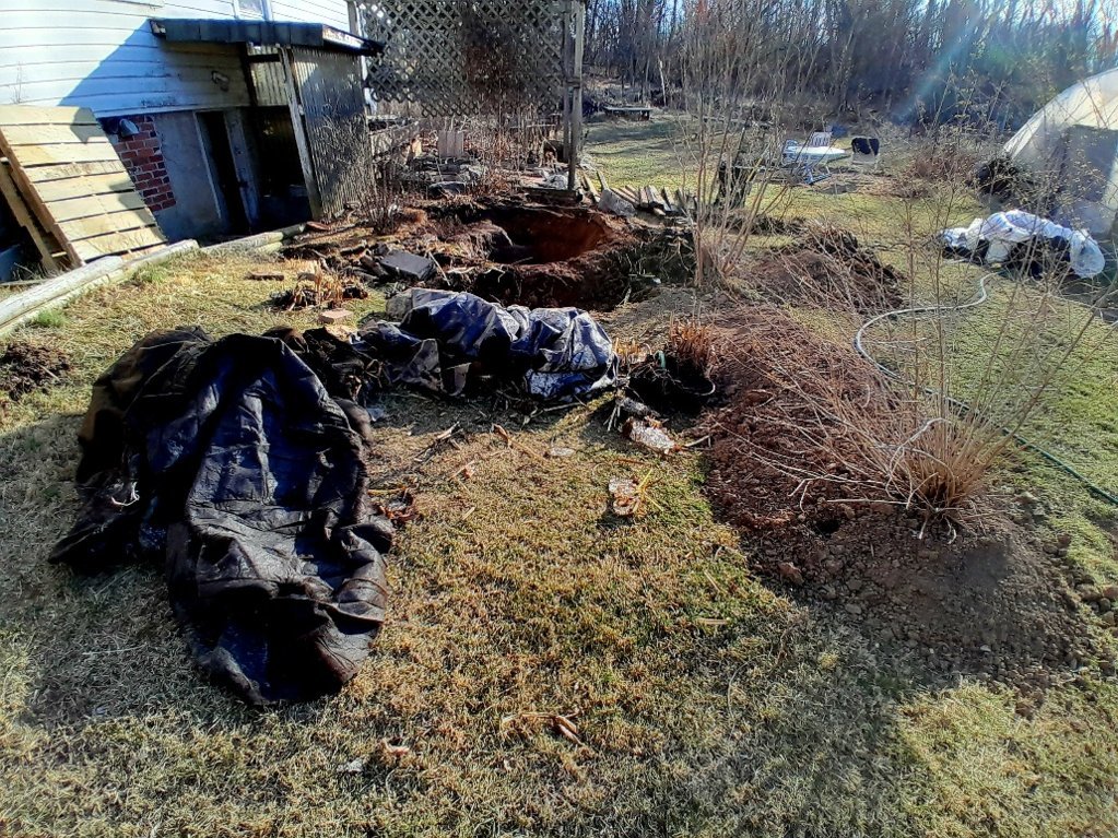 20250309_173410.jpg