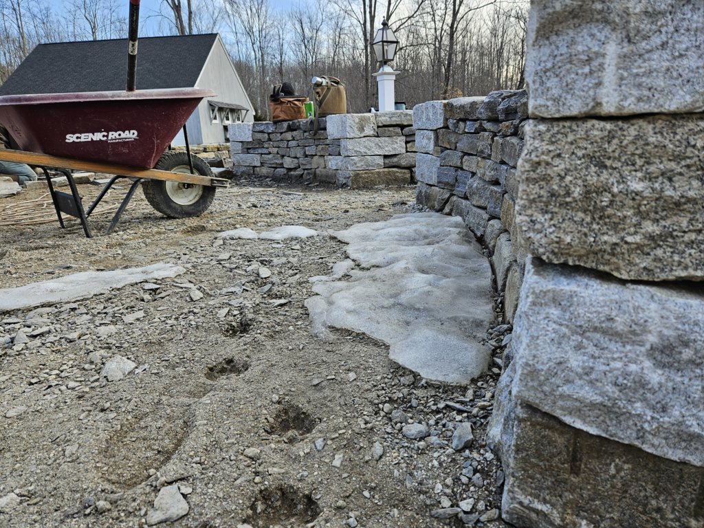 20250312_080743.jpg