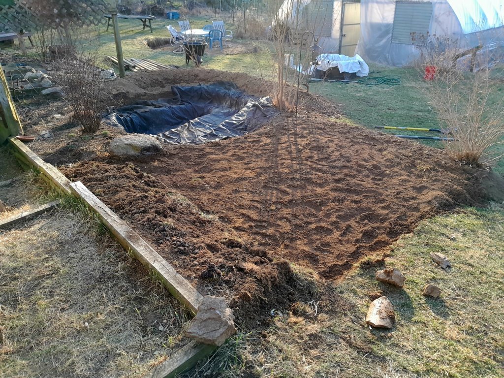 20250312_180808.jpg