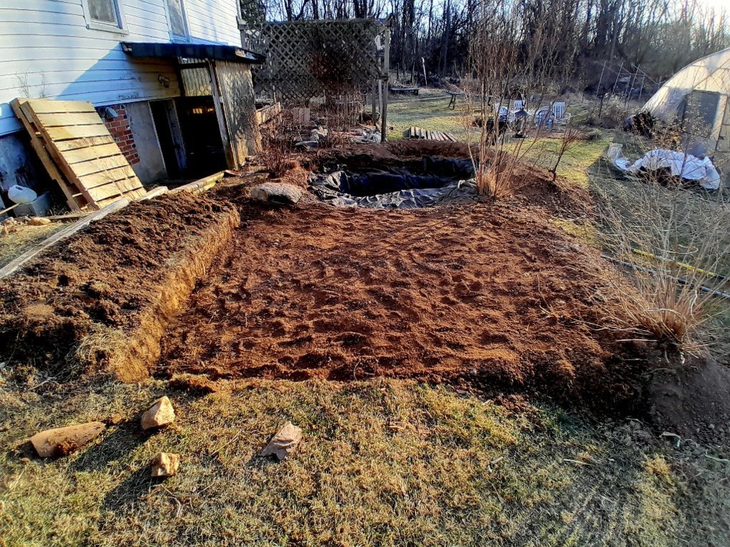 20250312_180818.jpg