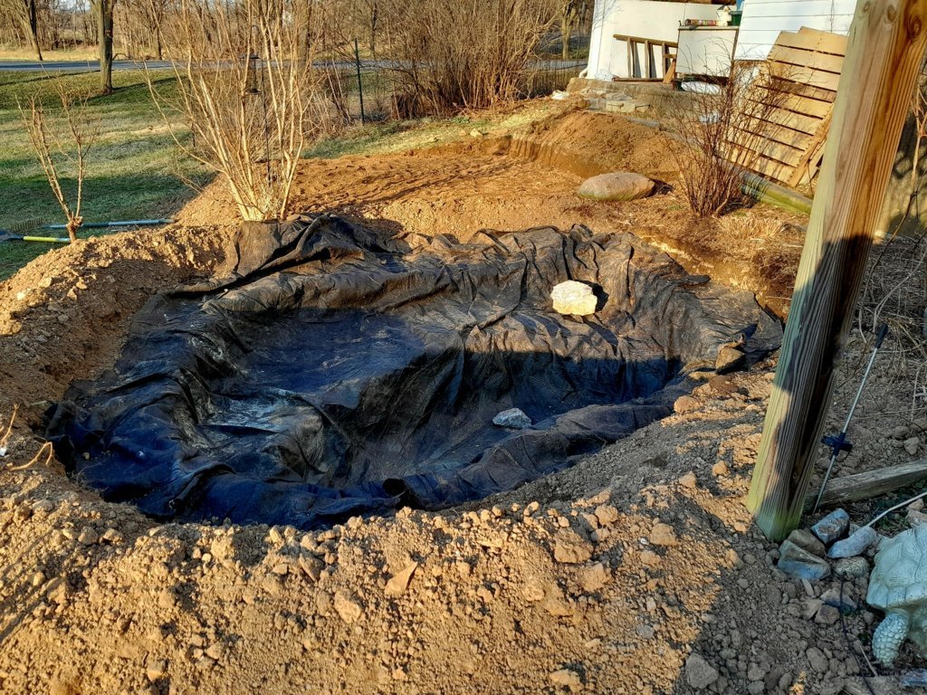 20250312_180910.jpg