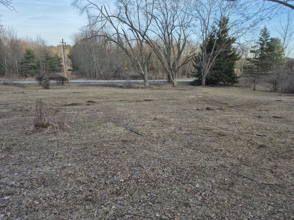 20250313_182645.jpg
