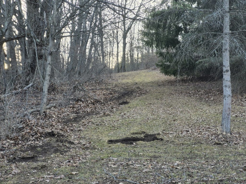 20250313_182730.jpg