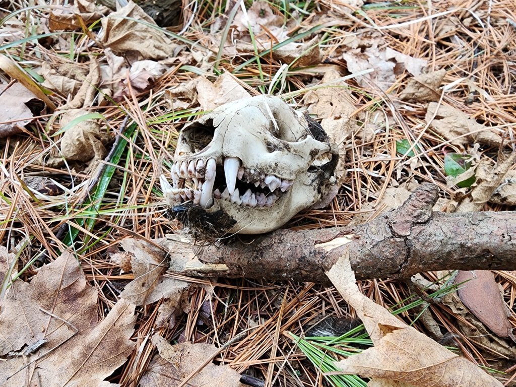 20250315_090632.jpg