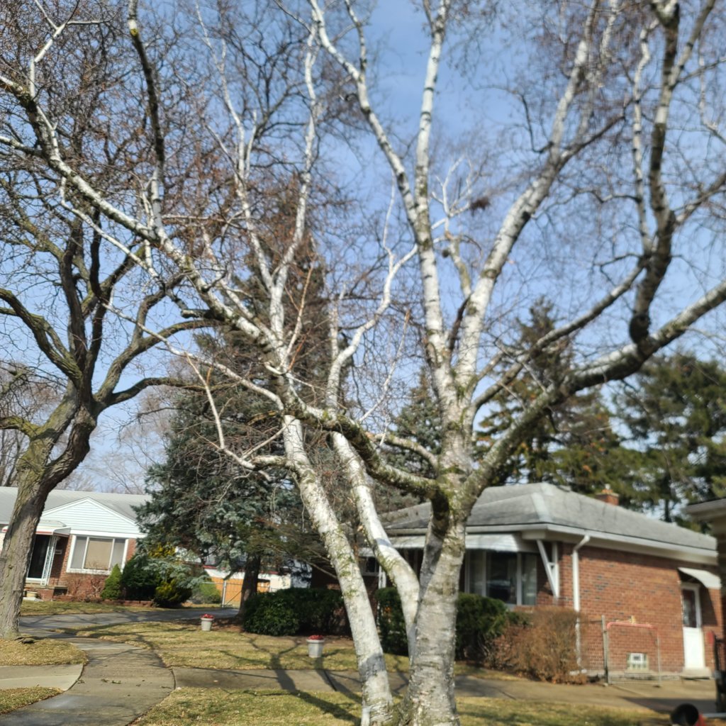 20250315_141354.jpg