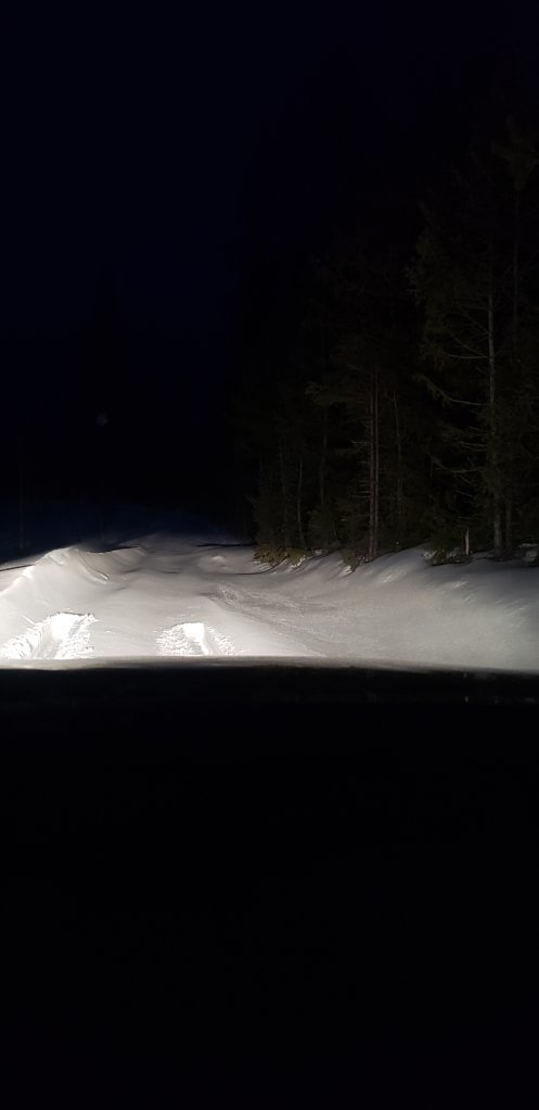 20250316_203338.jpg