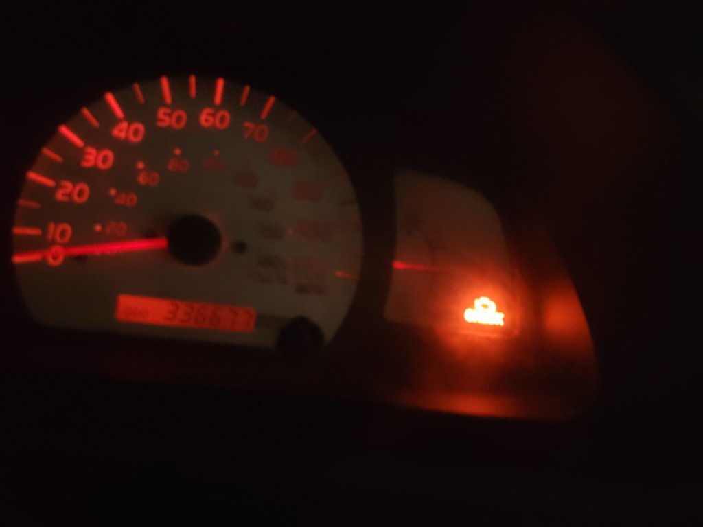 20250319_162431.jpg