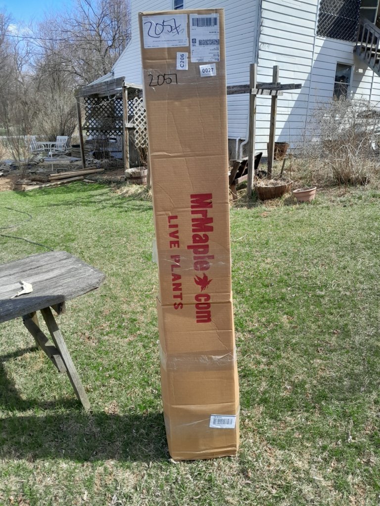20250322_120522.jpg
