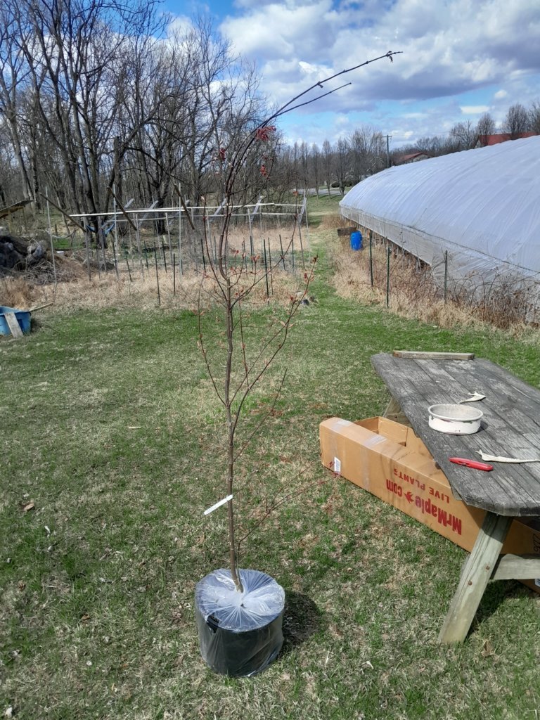20250322_120750.jpg
