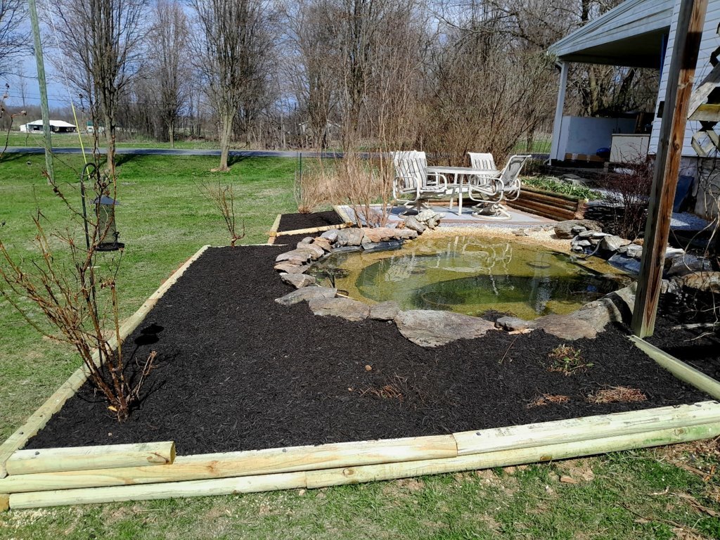 20250326_143001.jpg