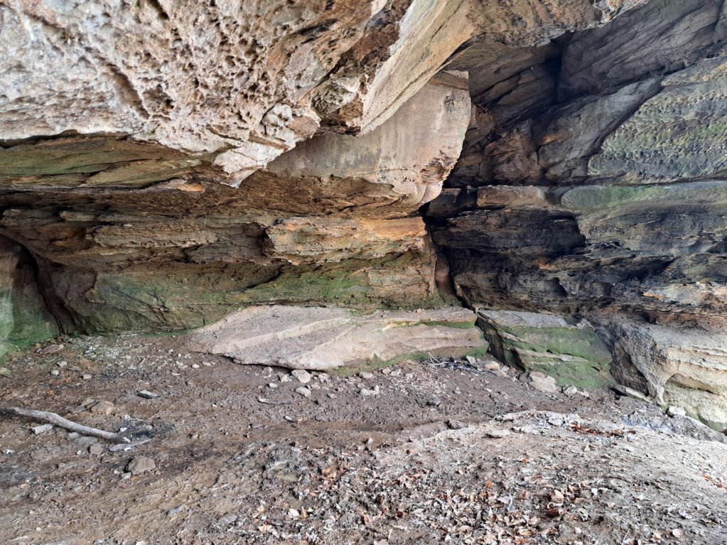 20250329_160219.jpg