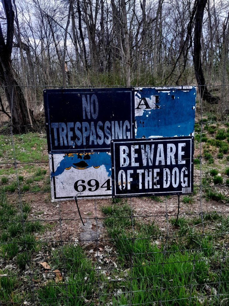 20250329_183459.jpg
