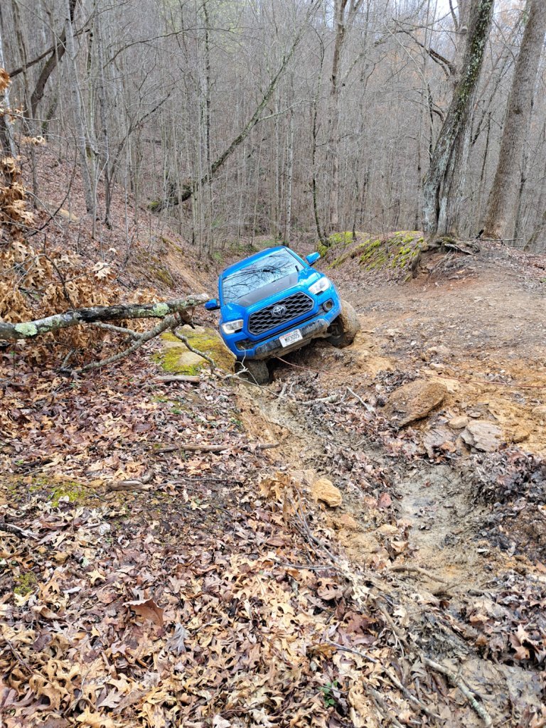 20250330_125105.jpg