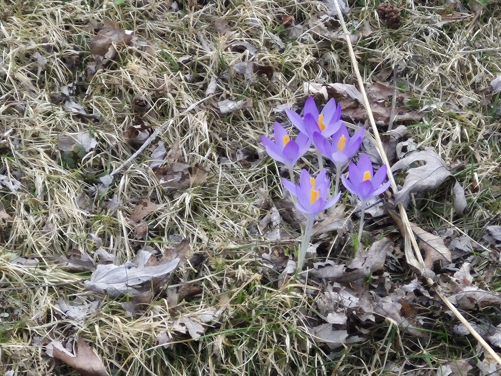 20250330_170833.jpg