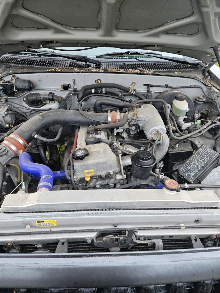 20250331_184334.jpg