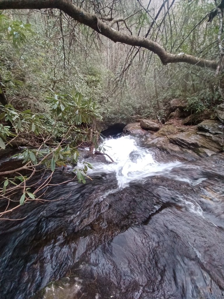 20250405_192401.jpg