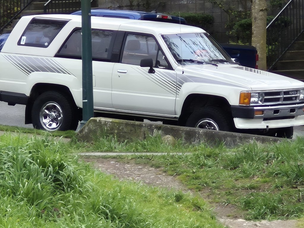 20250406_103143.jpg