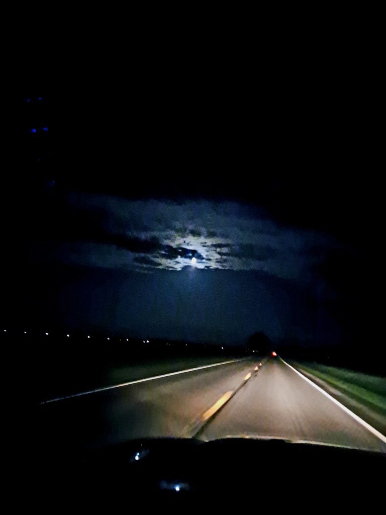 20250411_043532.jpg