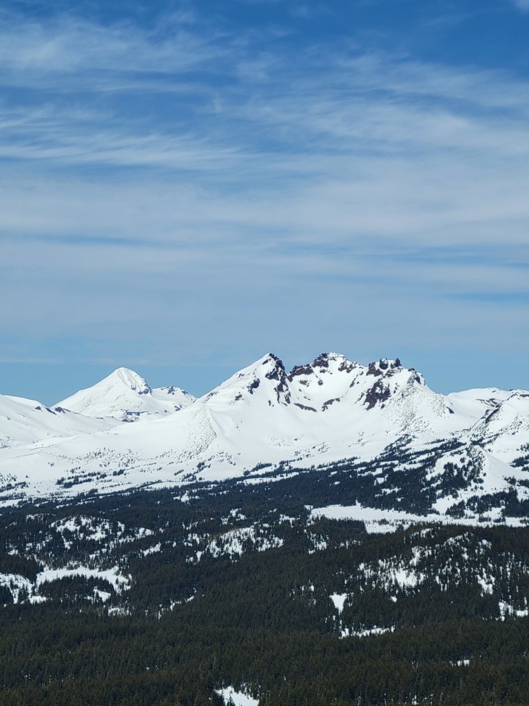 20250411_125259.jpg