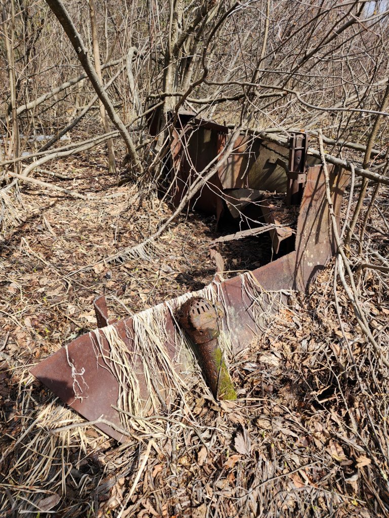 20250412_111256.jpg