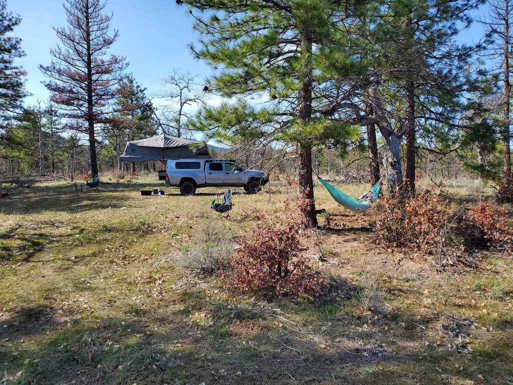 20250412_160121.jpg