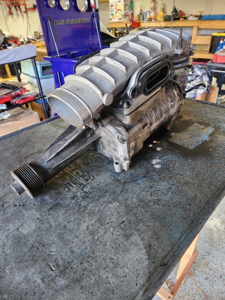 20250412_180557.jpg
