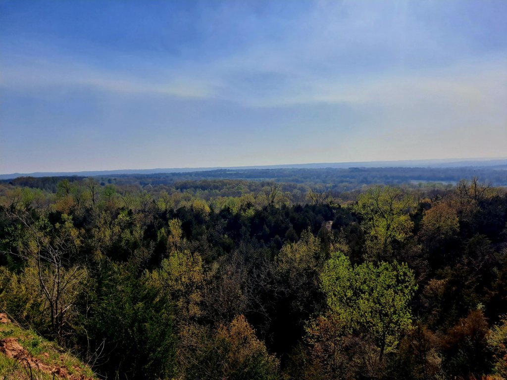20250415_163310.jpg