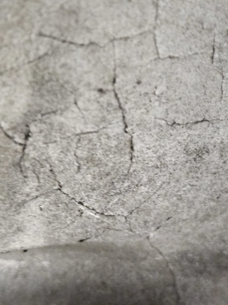 20250416_134758.jpg