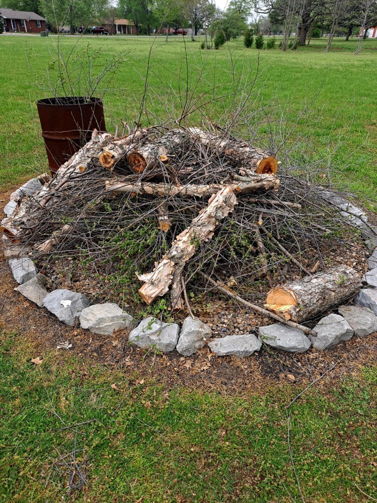 20250418_152847.jpg