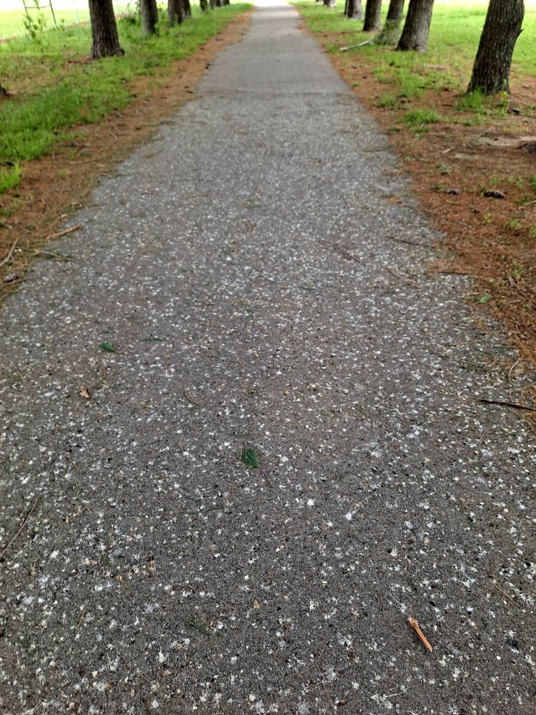 20250419_090557.jpg